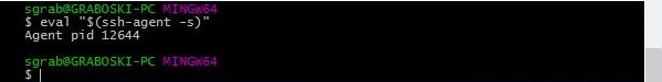 A command line window running eval "$(ssh-agent –s)"